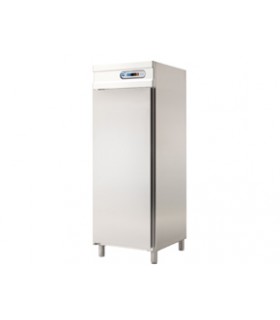 ARMARIO PARA MANTENIMIENTO DE CONGELADOS GASTRONORM 1 PUERTA